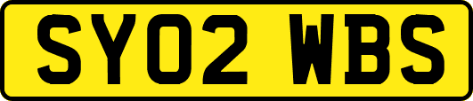SY02WBS