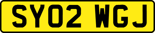 SY02WGJ