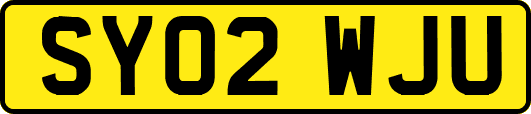 SY02WJU