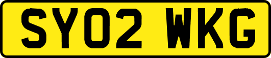 SY02WKG