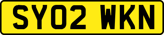 SY02WKN