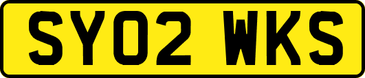SY02WKS