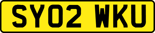 SY02WKU