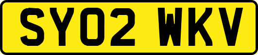 SY02WKV