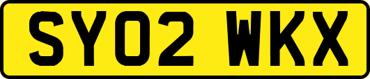 SY02WKX