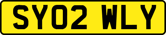 SY02WLY