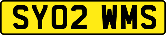 SY02WMS