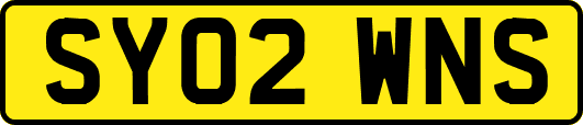 SY02WNS