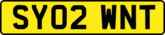 SY02WNT