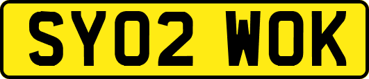 SY02WOK
