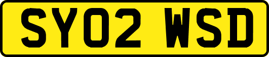 SY02WSD