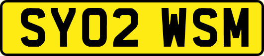 SY02WSM