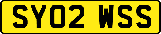 SY02WSS