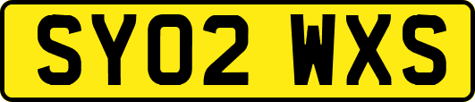 SY02WXS