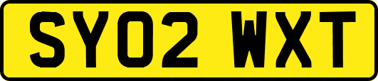 SY02WXT