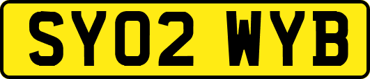 SY02WYB