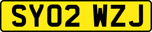 SY02WZJ