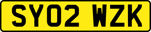 SY02WZK