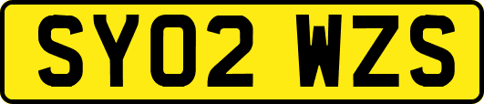 SY02WZS