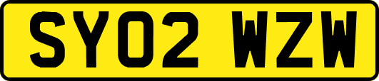 SY02WZW