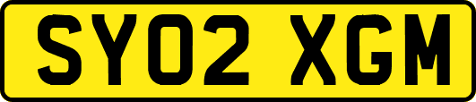 SY02XGM