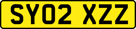 SY02XZZ