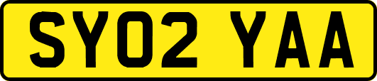 SY02YAA