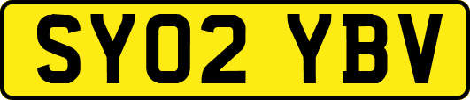 SY02YBV