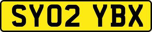 SY02YBX