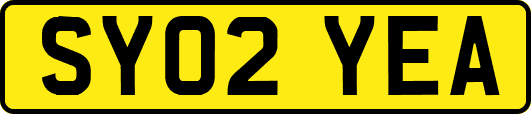 SY02YEA