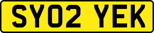 SY02YEK
