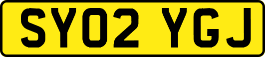 SY02YGJ