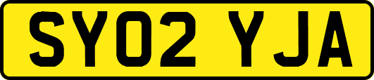 SY02YJA