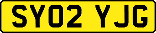 SY02YJG
