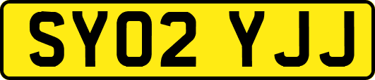 SY02YJJ