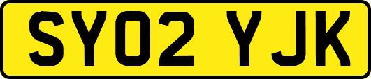 SY02YJK