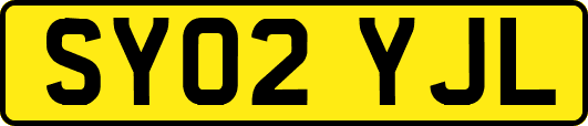 SY02YJL