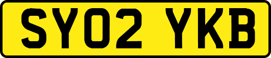 SY02YKB