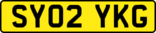 SY02YKG
