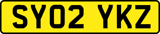 SY02YKZ