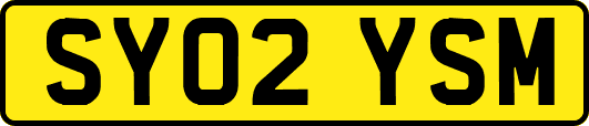 SY02YSM