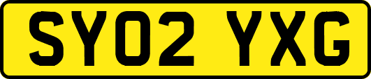 SY02YXG
