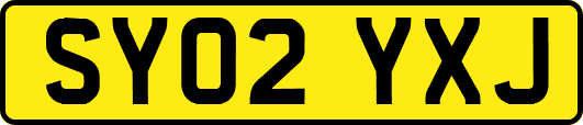 SY02YXJ