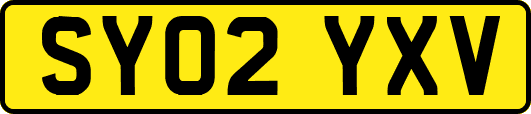 SY02YXV