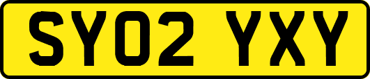 SY02YXY