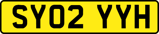 SY02YYH