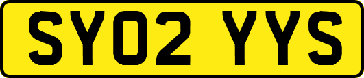 SY02YYS