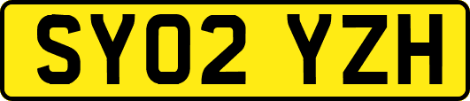 SY02YZH