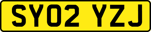 SY02YZJ