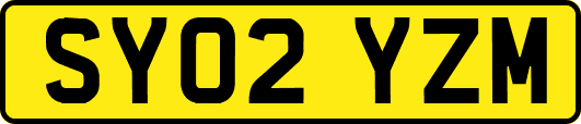 SY02YZM